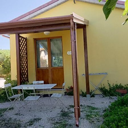 Agriturismo I Ciliegi Appartamento Ginestra 몬티냐노 외부 사진