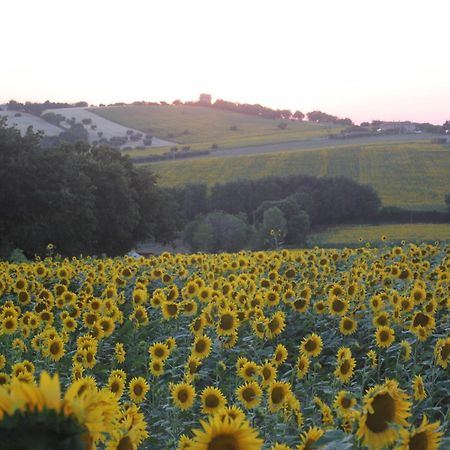 Agriturismo I Ciliegi Appartamento Ginestra 몬티냐노 외부 사진