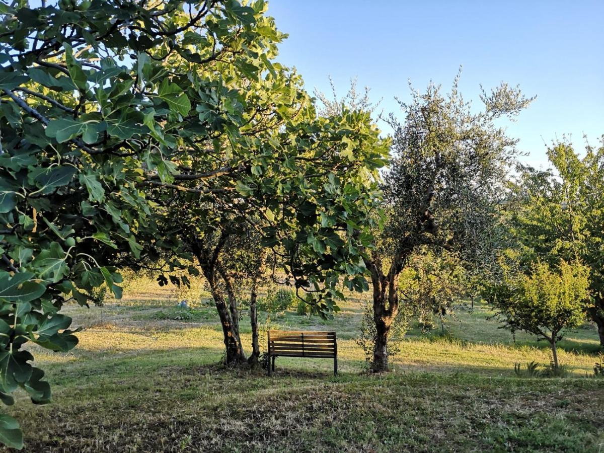 Agriturismo I Ciliegi Appartamento Ginestra 몬티냐노 외부 사진