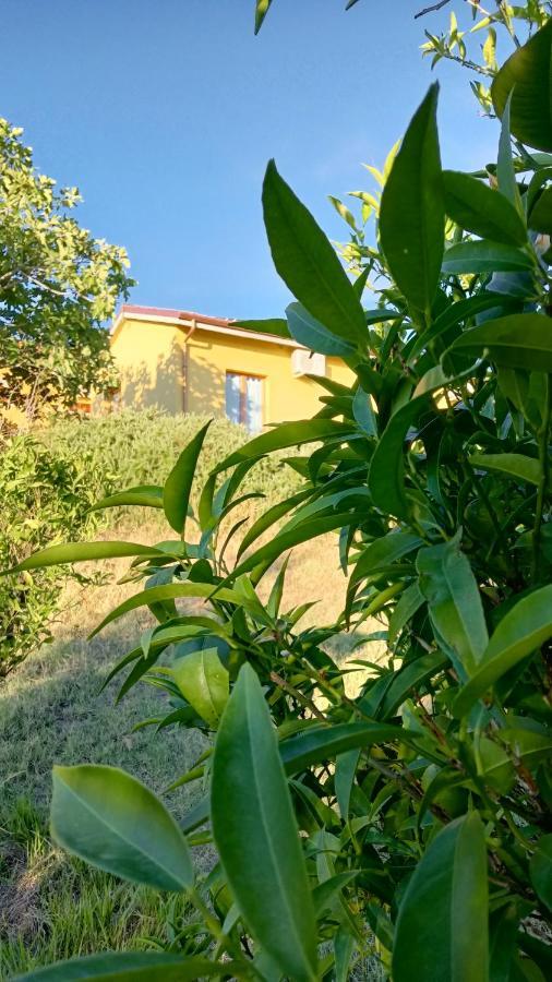 Agriturismo I Ciliegi Appartamento Ginestra 몬티냐노 외부 사진