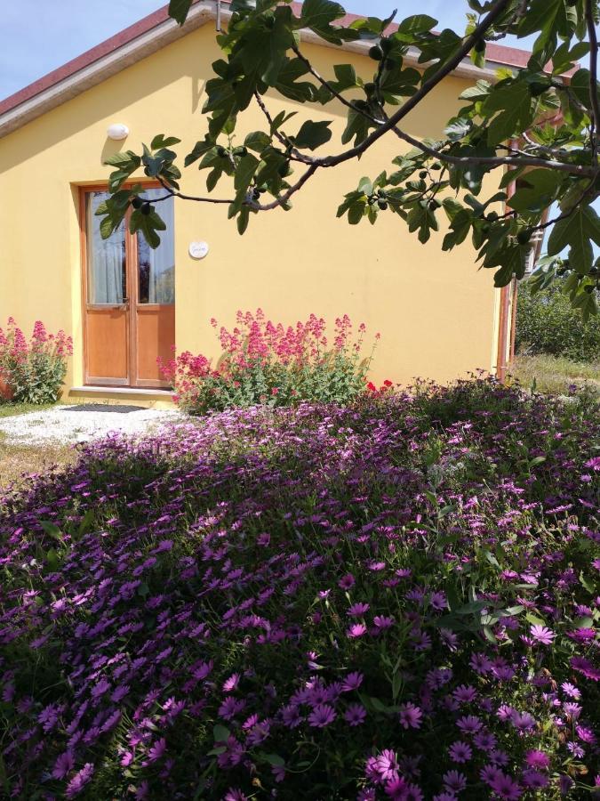 Agriturismo I Ciliegi Appartamento Ginestra 몬티냐노 외부 사진
